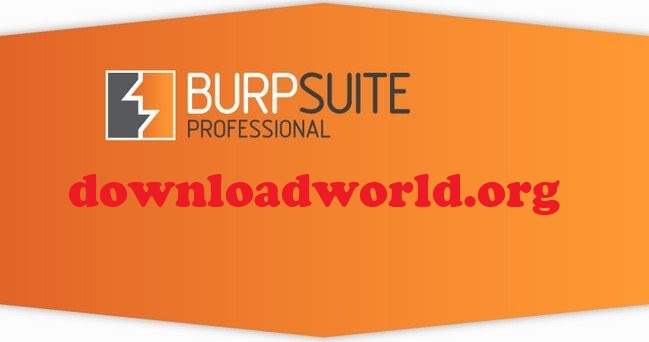 Burp Suite Pro Crack 2022.3.9 & Serial Key Full Download
